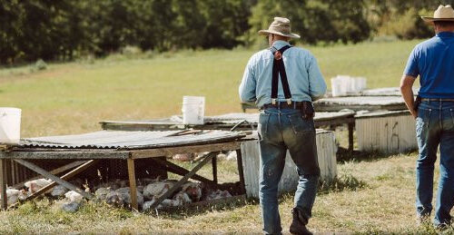 Polyface 2026 VIP Tickets